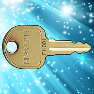 Ronis HAFELE Keys FH001-FH400 | NEXT DAY | Deskkeys.Biz