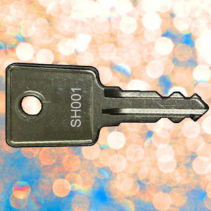 RONIS FRANCE Keys SH001-SH400 | NEXT DAY | Deskkeys.Biz