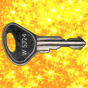 Silverline Locker Keys W5001-W7000 | NEXT DAY | DeskKeys.Biz