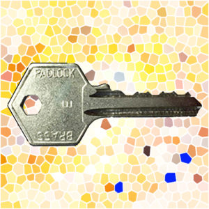 ASEC Padlock Key E | NEXT DAY | DeskKeys.Biz