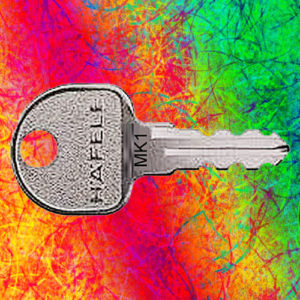 MK1 Hafele Master Key | SAME DAY DISPATCH | Deskkeys.Biz