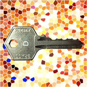 ASEC Padlock Key C | NEXT DAY | DeskKeys.Biz