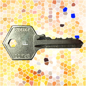 ASEC Padlock Key F | NEXT DAY | DeskKeys.Biz