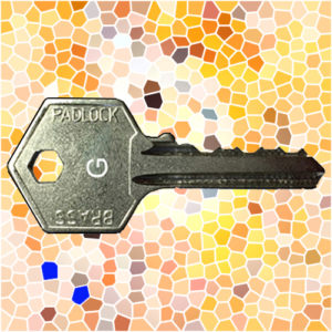 ASEC Padlock Key G | NEXT DAY | DeskKeys.Biz