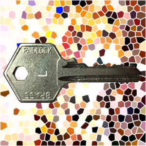 ASEC Padlock Key L | NEXT DAY | DeskKeys.Biz