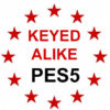 Keyed Alike to SQUIRE Key PES5