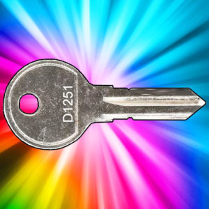 Thule Remover Key D1251 | NEXT DAY | DeskKeys.Biz