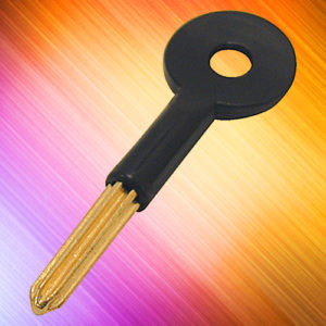 Rack-Bolt STAR PROFILE Key | NEXT DAY | DeskKeys.Biz